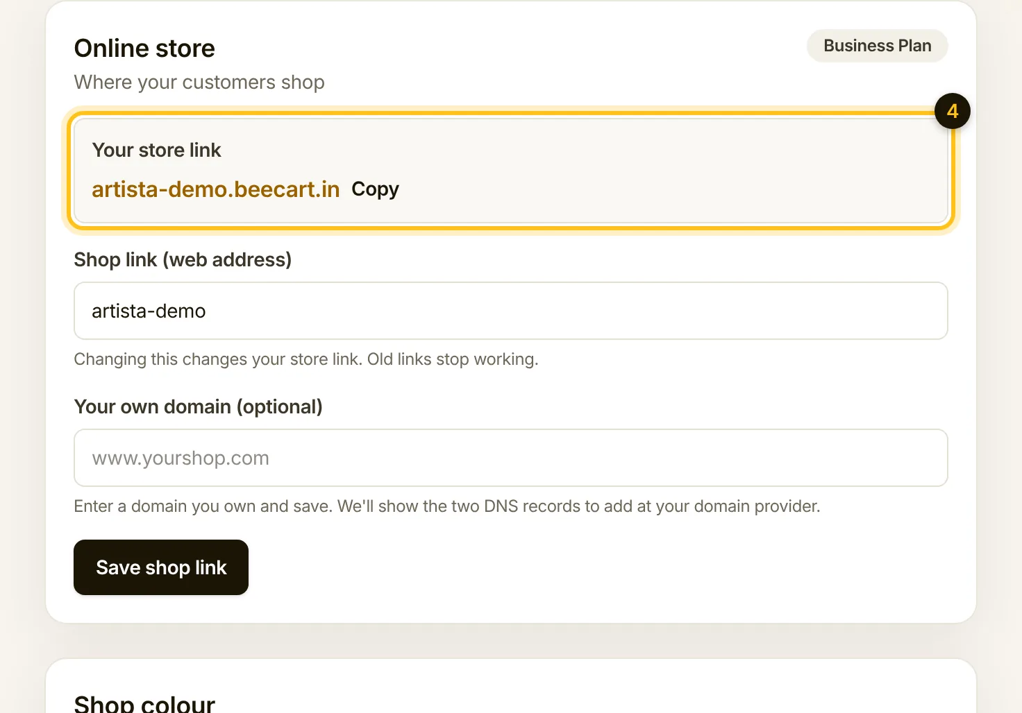 Your store link with a Copy button, the shop link field and the own domain field